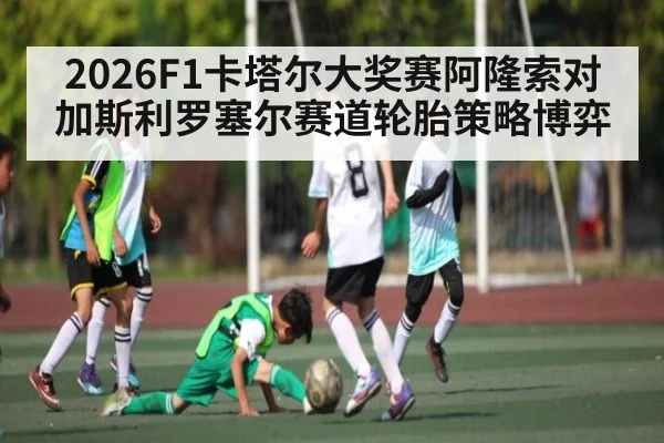 2026F1卡塔尔大奖赛阿隆索对加斯利罗塞尔赛道轮胎策略博弈