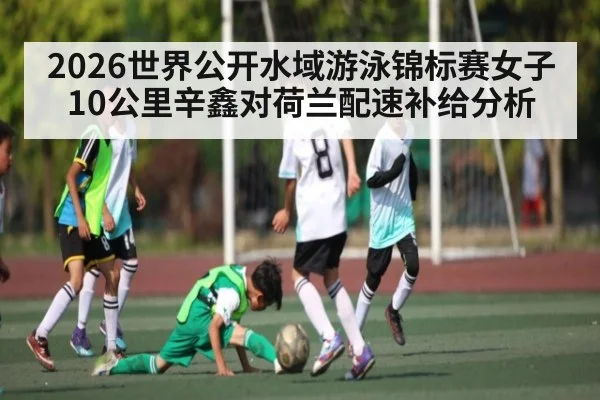 2026世界公开水域游泳锦标赛女子10公里辛鑫对荷兰配速补给分析